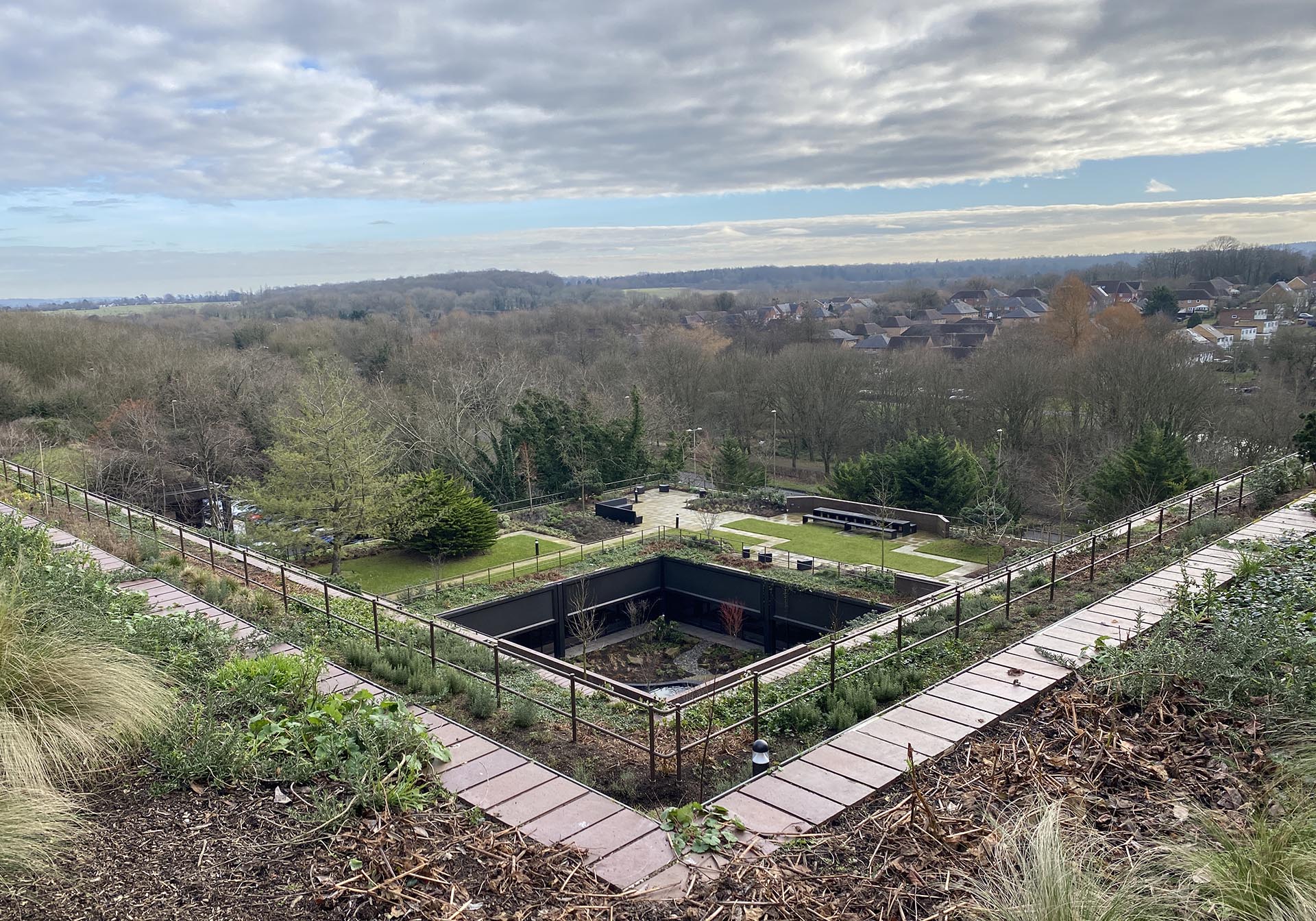 Plant in Basingstoke